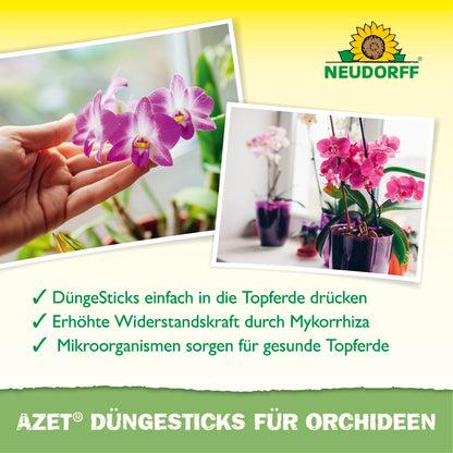 Azet Düngesticks für Orchideen