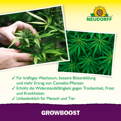 GrowBoost