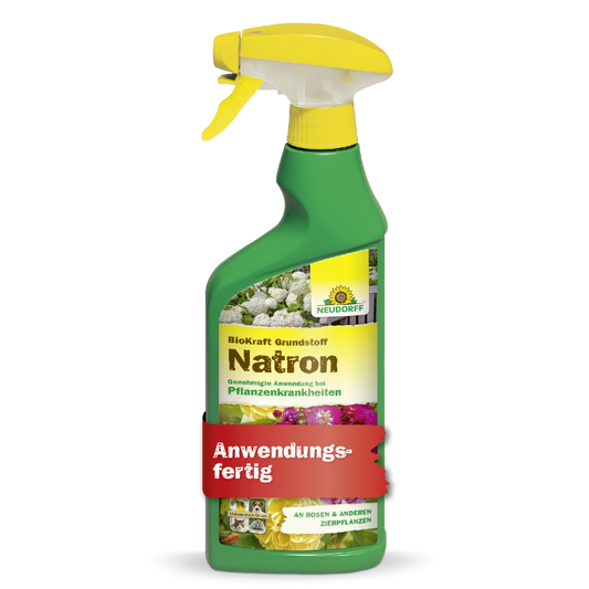 BioKraft Grundstoff Natron 500ml