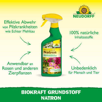 BioKraft Grundstoff Natron 500ml