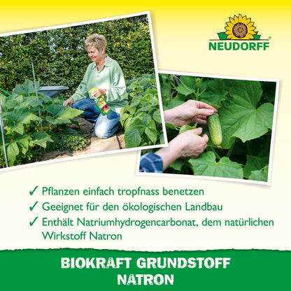 BioKraft Grundstoff Natron 500ml