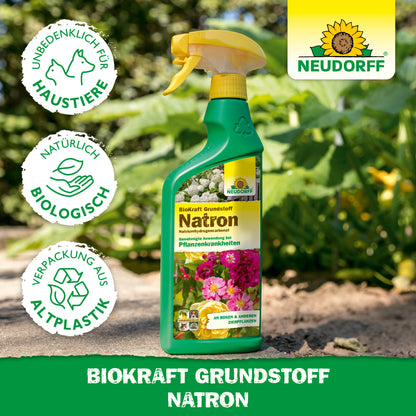 BioKraft Grundstoff Natron 500ml