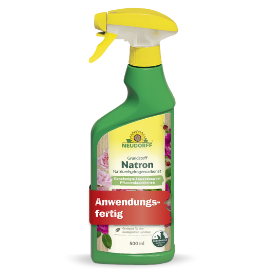Grundstoff Natron 500ml