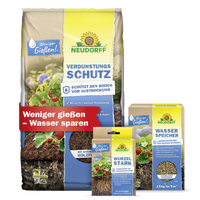 Wasserspar-Set