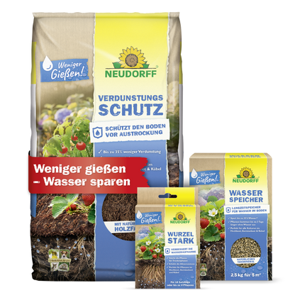 Wasserspar-Set