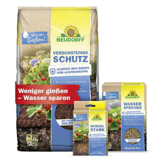 Wasserspar-Set