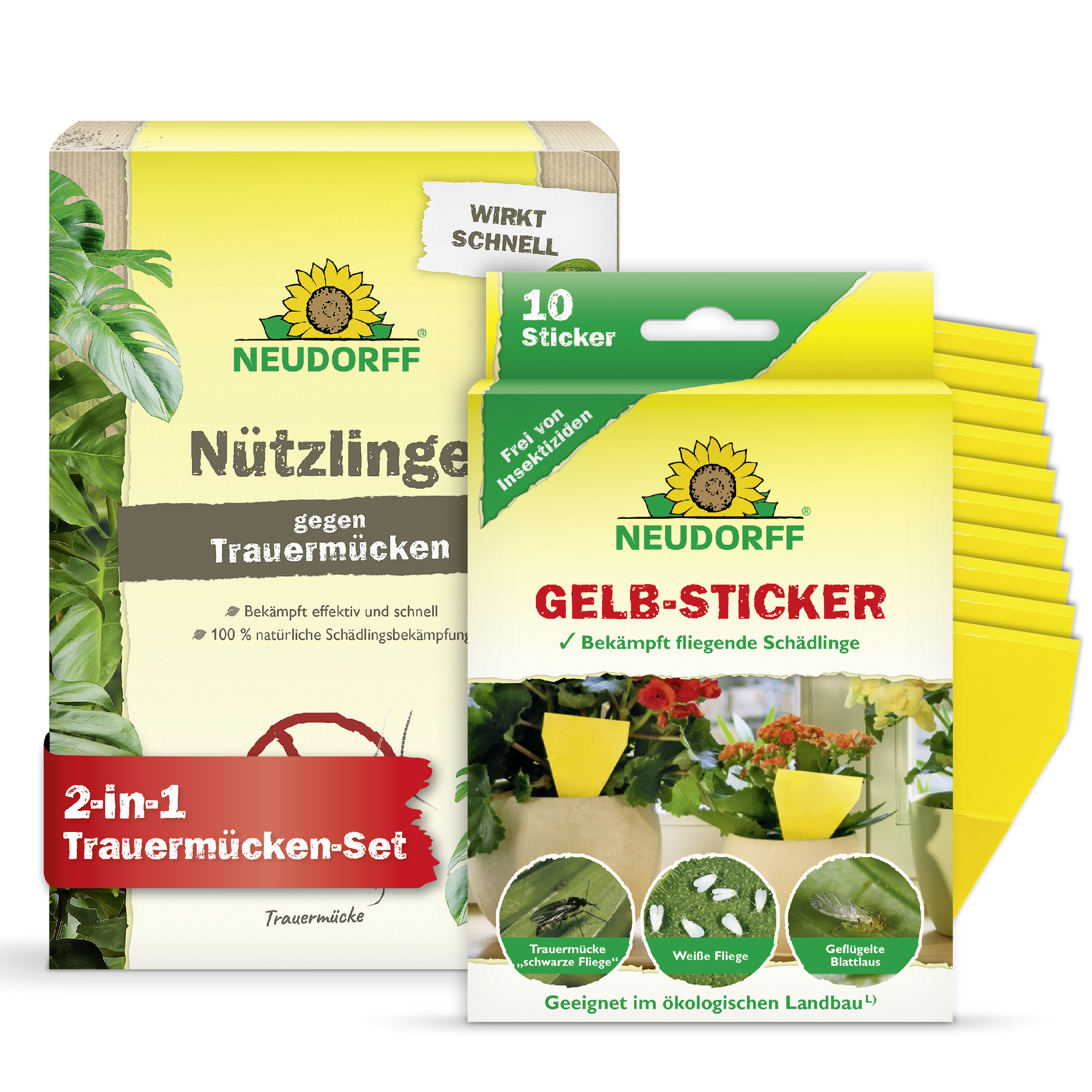 Trauermücken Set: Mit Gelbstickern + Nematoden Trauermücken bekämpfen! –  Neudorff Shop