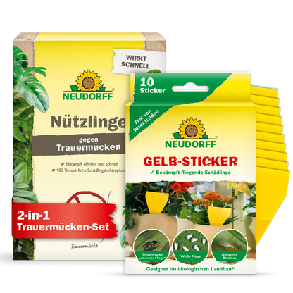Trauermücken-Set