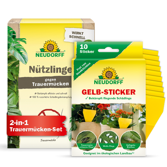 Das 2 in 2 Trauermücken-Set von Neudorff enthält laut Bild eine Packung Nützlinge bzw. Nematoden gegen Trauermücken und ein Päckchen aus 10 Gelbstickern gegen Trauermücken