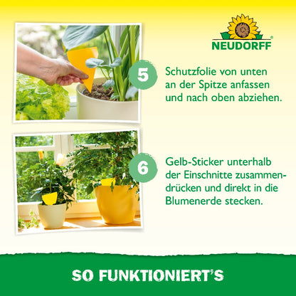 Trauermücken-Set