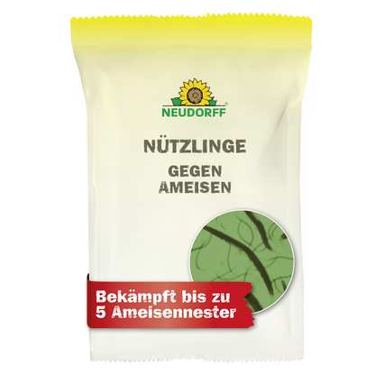 Nützlinge gegen Ameisen