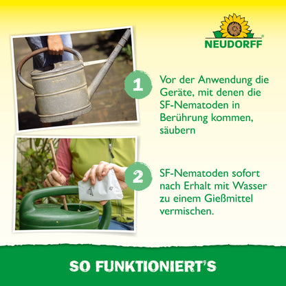 Nützlinge gegen Ameisen