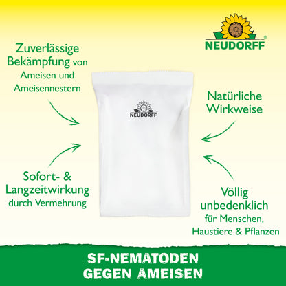 Nützlinge gegen Ameisen