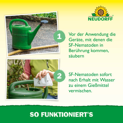 Nützlinge gegen Ameisen