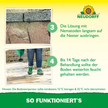Nützlinge gegen Ameisen
