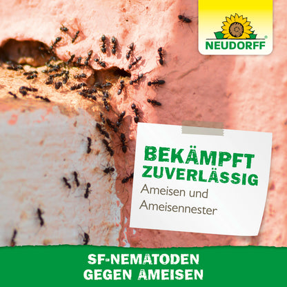 Nützlinge gegen Ameisen