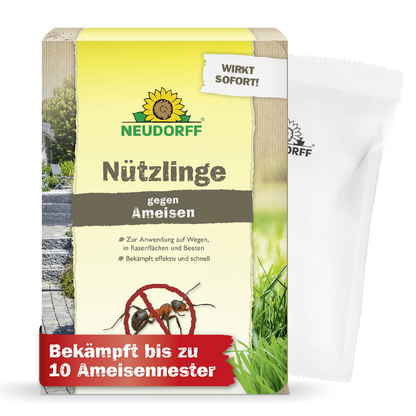 Nützlinge gegen Ameisen