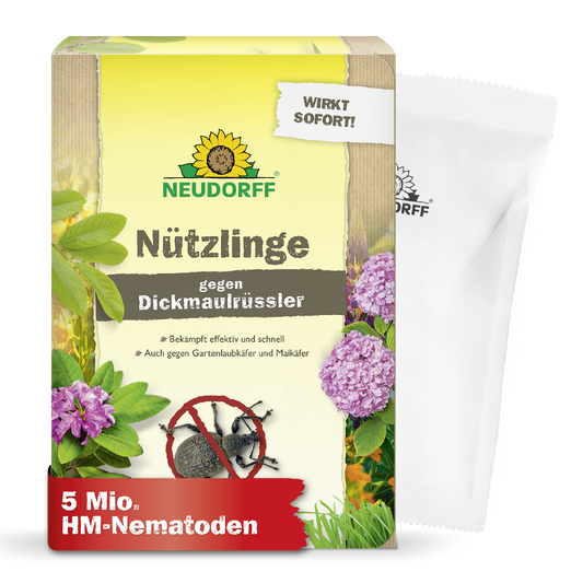Nützlinge gegen Dickmaulrüssler