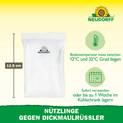Nützlinge gegen Dickmaulrüssler