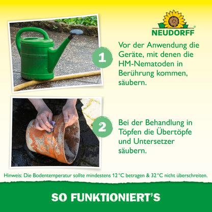Nützlinge gegen Dickmaulrüssler