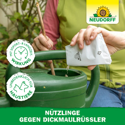 Nützlinge gegen Dickmaulrüssler