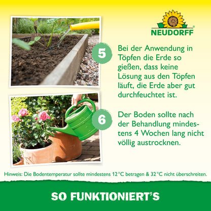 Nützlinge gegen Dickmaulrüssler