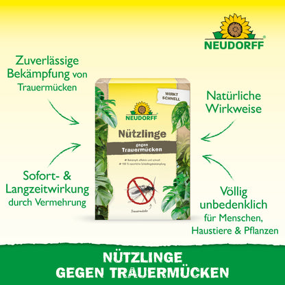 Nützlinge gegen Trauermücken