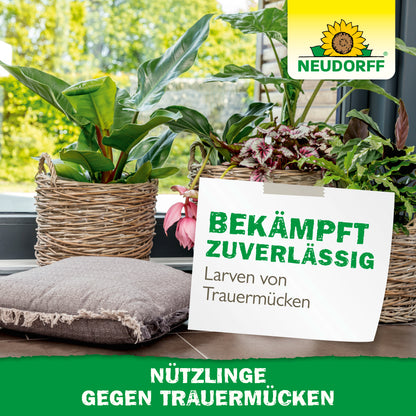 Nützlinge gegen Trauermücken