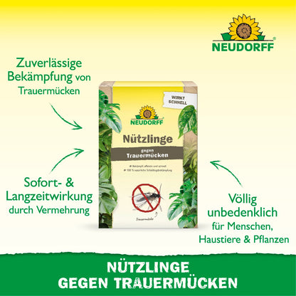 Nützlinge gegen Trauermücken