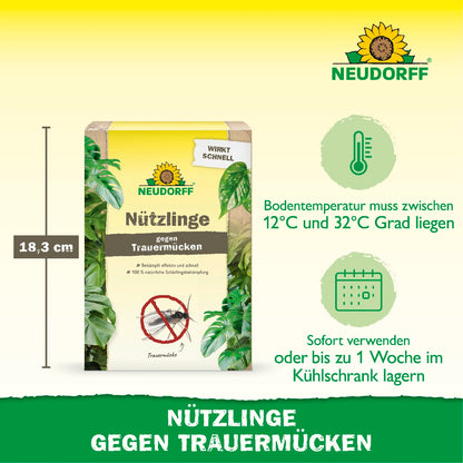 Nützlinge gegen Trauermücken