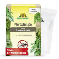 Nützlinge gegen Trauermücken