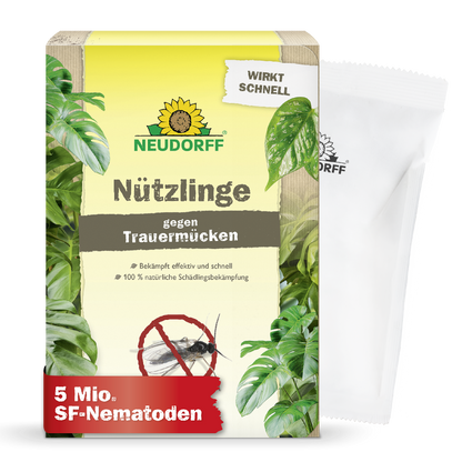 Nützlinge gegen Trauermücken