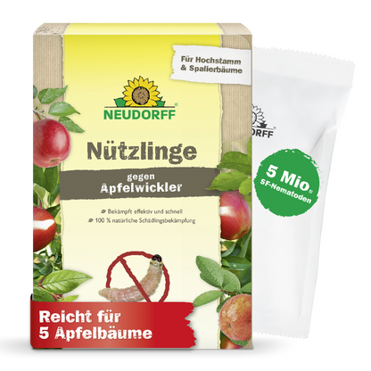 Nützlinge gegen Apfelwickler
