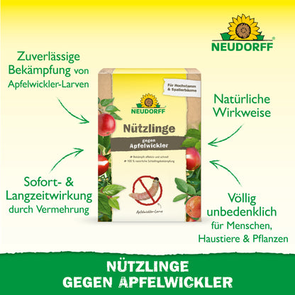 Nützlinge gegen Apfelwickler