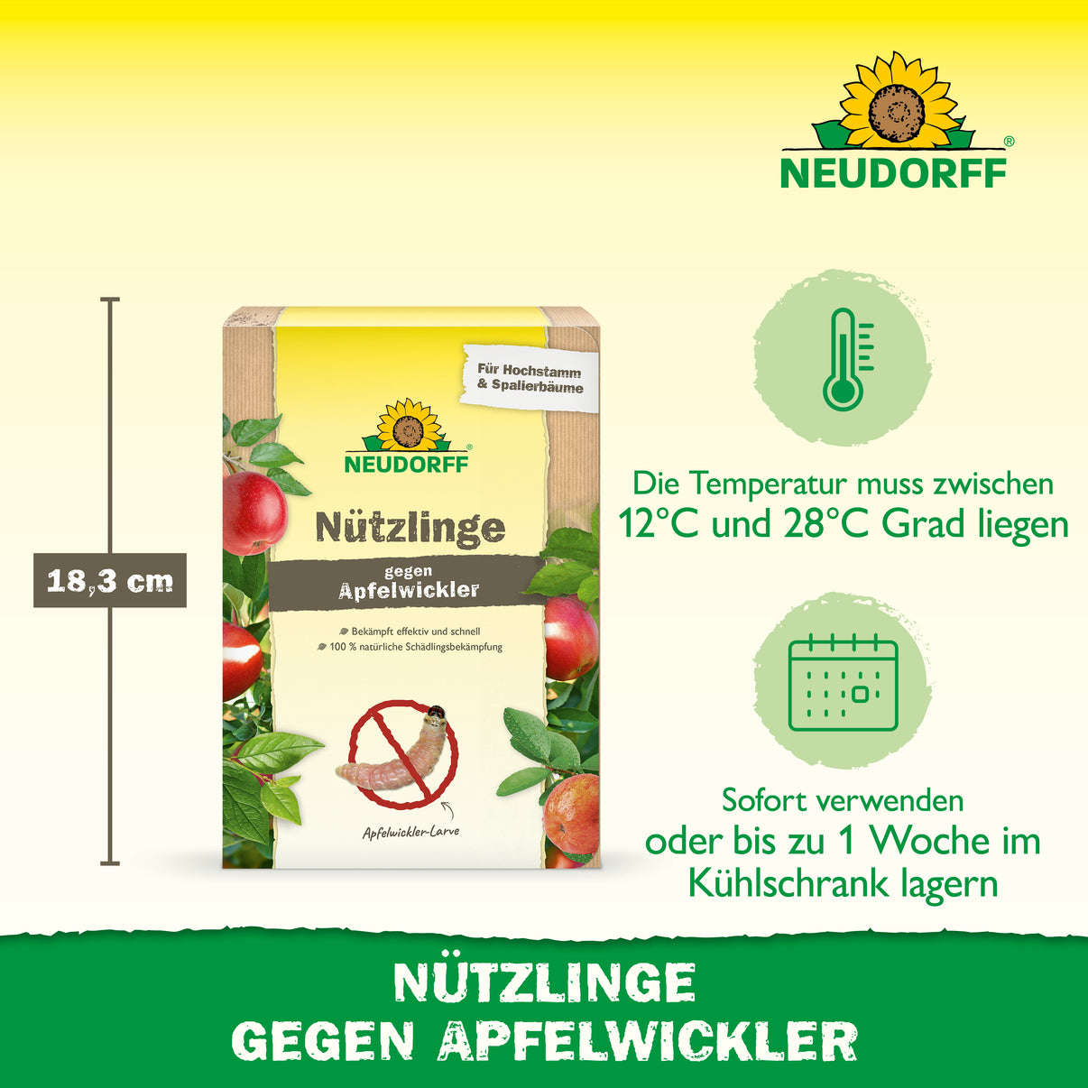 Nematoden Gegen Apfelwickler