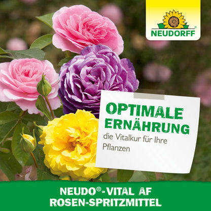 Neudo-Vital AF Rosen-Spritzmittel