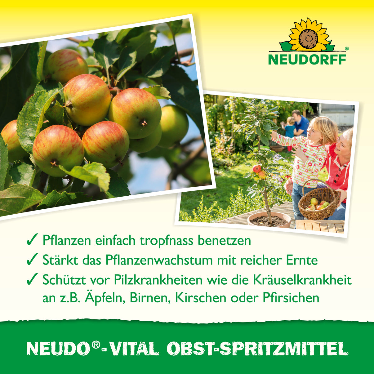 Neudorff NeudoVital ObstSpritzmittel Stärkt Obstbäume & Sträucher