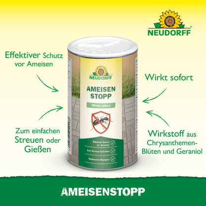Effektiver Schutz vor Ameisen mit AmeisenStopp von Neudorff
