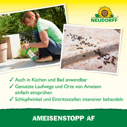 AmeisenStopp AF
