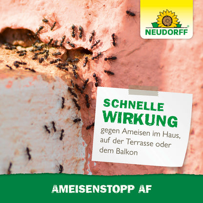 AmeisenStopp AF
