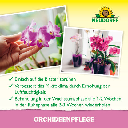 OrchideenPflege