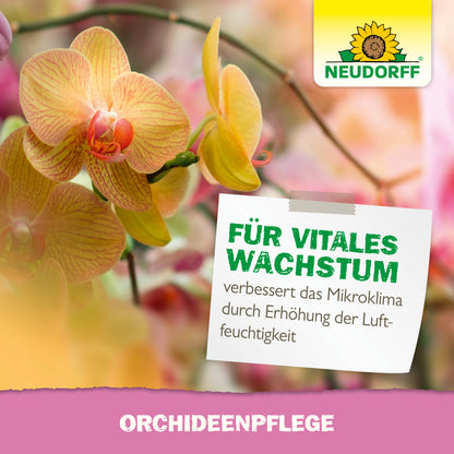 OrchideenPflege