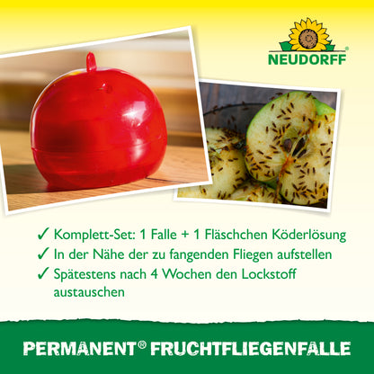 Permanent FruchtfliegenFalle