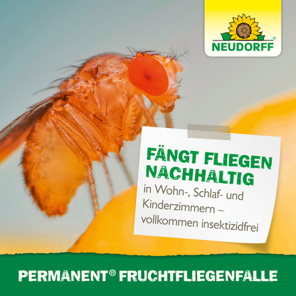 Permanent FruchtfliegenFalle