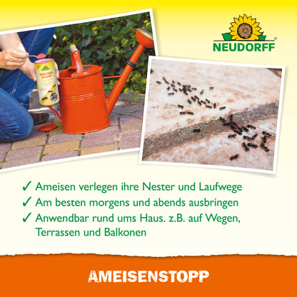 AmeisenStopp