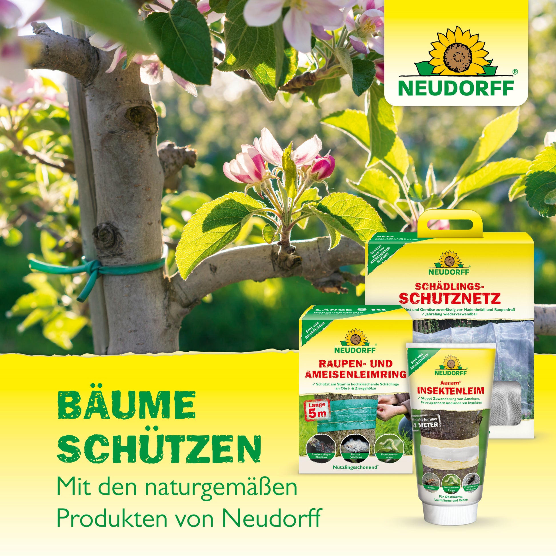 Pflege und schätze deine Bäume mit den naturgemäßen Produkten von Neudorff wie dem Baumanstrich Pulver 