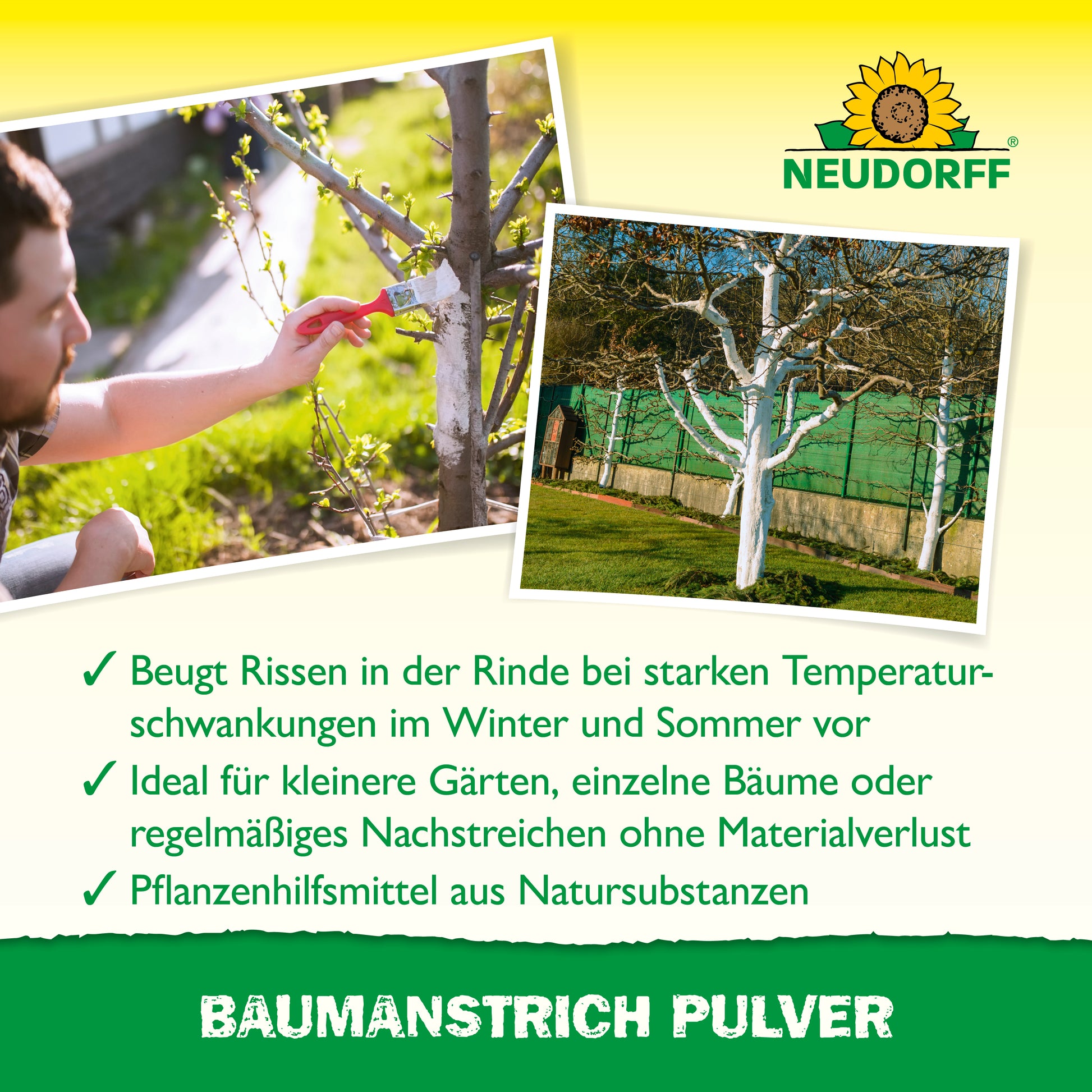 Neudorff Baumanstrich Pulver beugt Rissen in der Rinde bei starken Temperaturschwankungen im Winter und Sommer vor