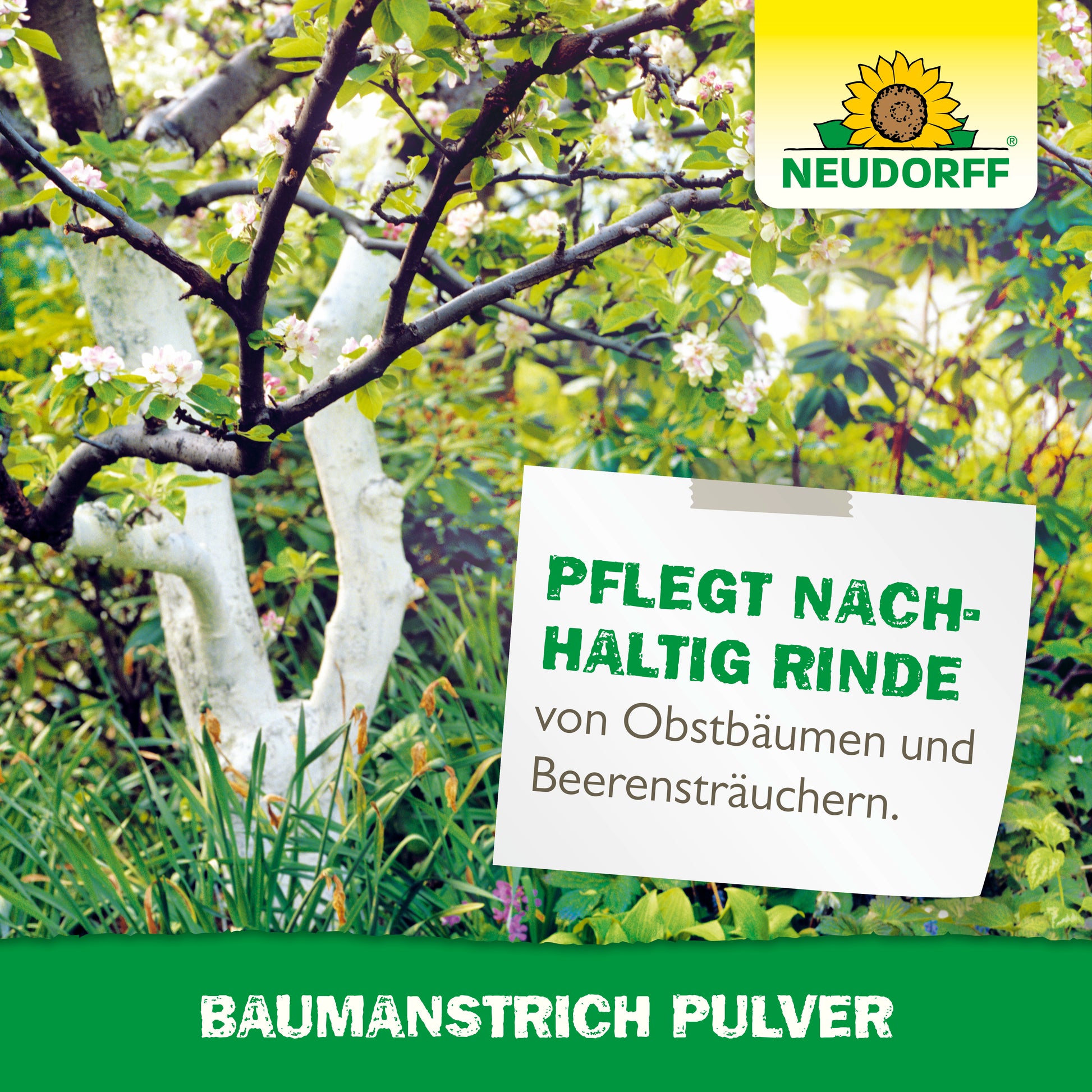 Neudorff Baumanstrich Pulver pflegt nachhaltig die Rinde von Obstbäumen und Beeerensträuchern