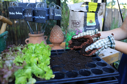 Blütenpracht und Ernteglück – Dein Weg zum Traumgarten