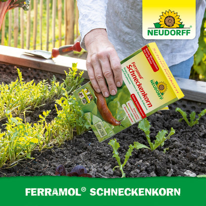 Ferramol Schneckenkorn
